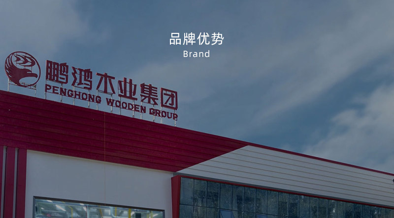 板材品牌、、全屋定制品牌、、生态板十大品牌