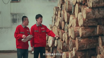 NG电子游戏·(中国区)官方网站