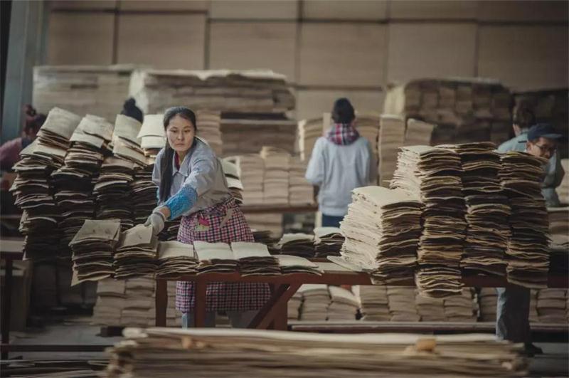 NG电子游戏之造——NG电子游戏22周年特殊奉献品质篇