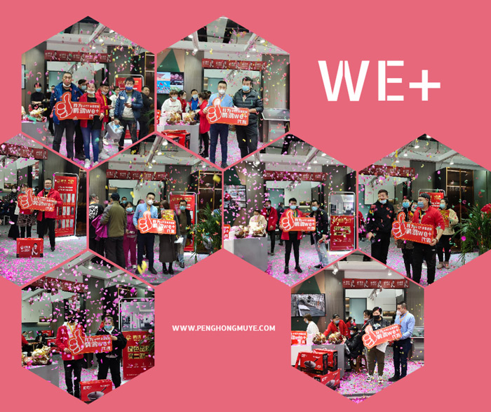 NG电子游戏定制家居夺魁沈阳家博会