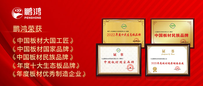 中国板材与定制家居大会，，NG电子游戏揽获5项声誉