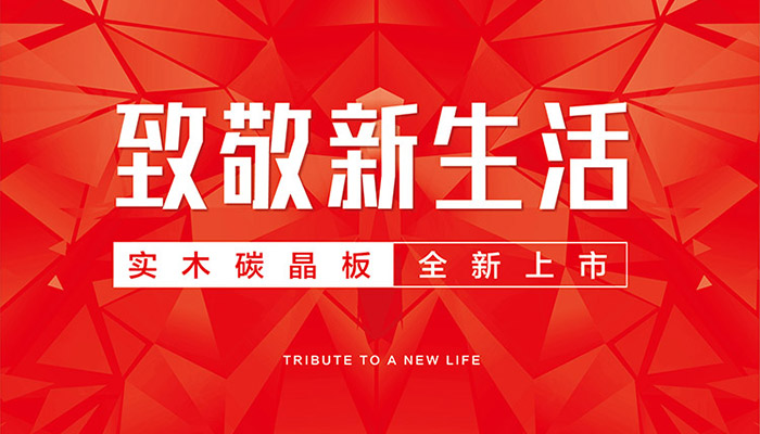 NG电子游戏实木碳晶板上市