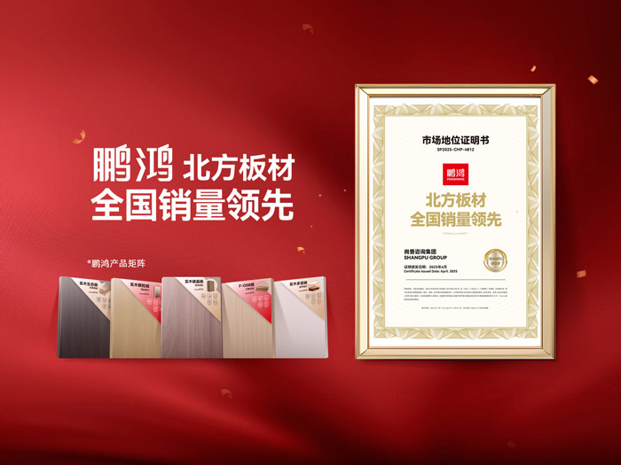 从北向南，，解读「北方板材一哥」NG电子游戏的天下崛起