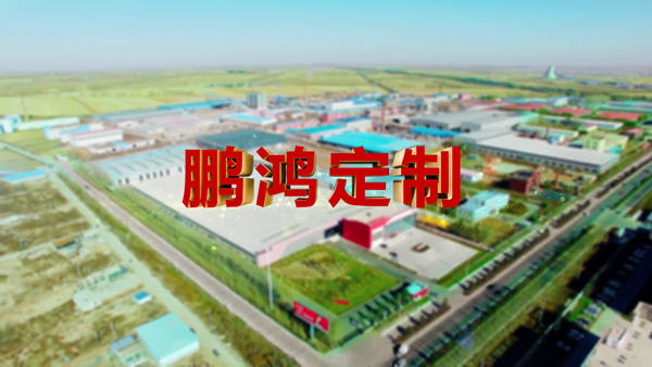 NG电子游戏产品纪录片之定制篇