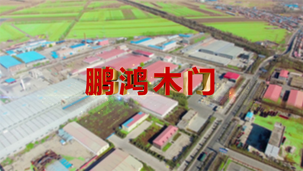 NG电子游戏产品纪录片之木门篇